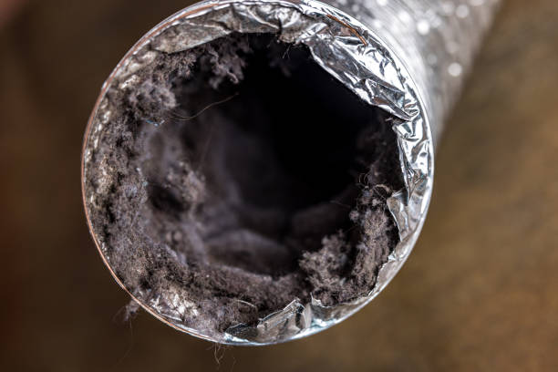 Best Air Duct Cleaning Company Near Me  in West Monroe, MI